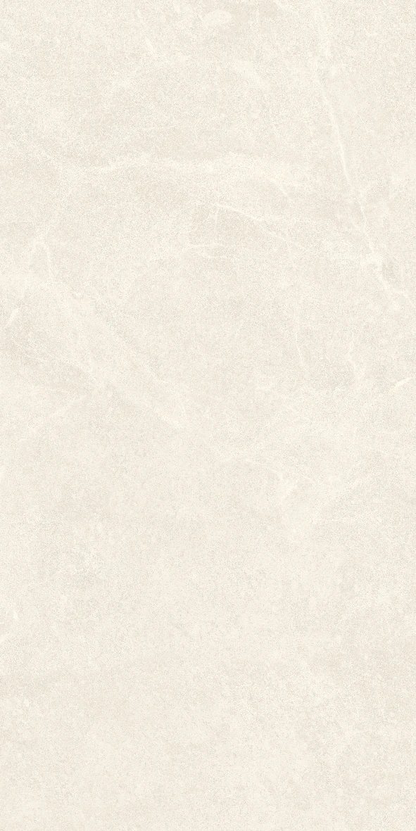 face 6